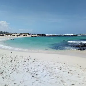 https://calma-apartment-on-the-most-amazing-beach-in-fuerteventura.in-canary-islands.com